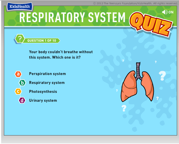 Resultado de imagen de respiratory system quiz kids health